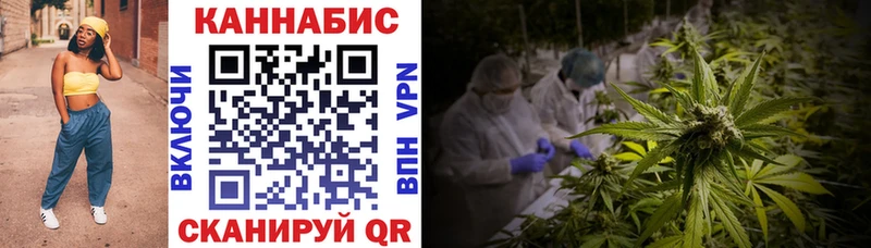 Шишки марихуана семена цена Удомля